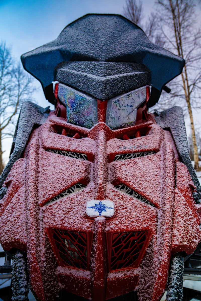 Арктическое сафари на хаски с наблюдением за северным сиянием — photo 2